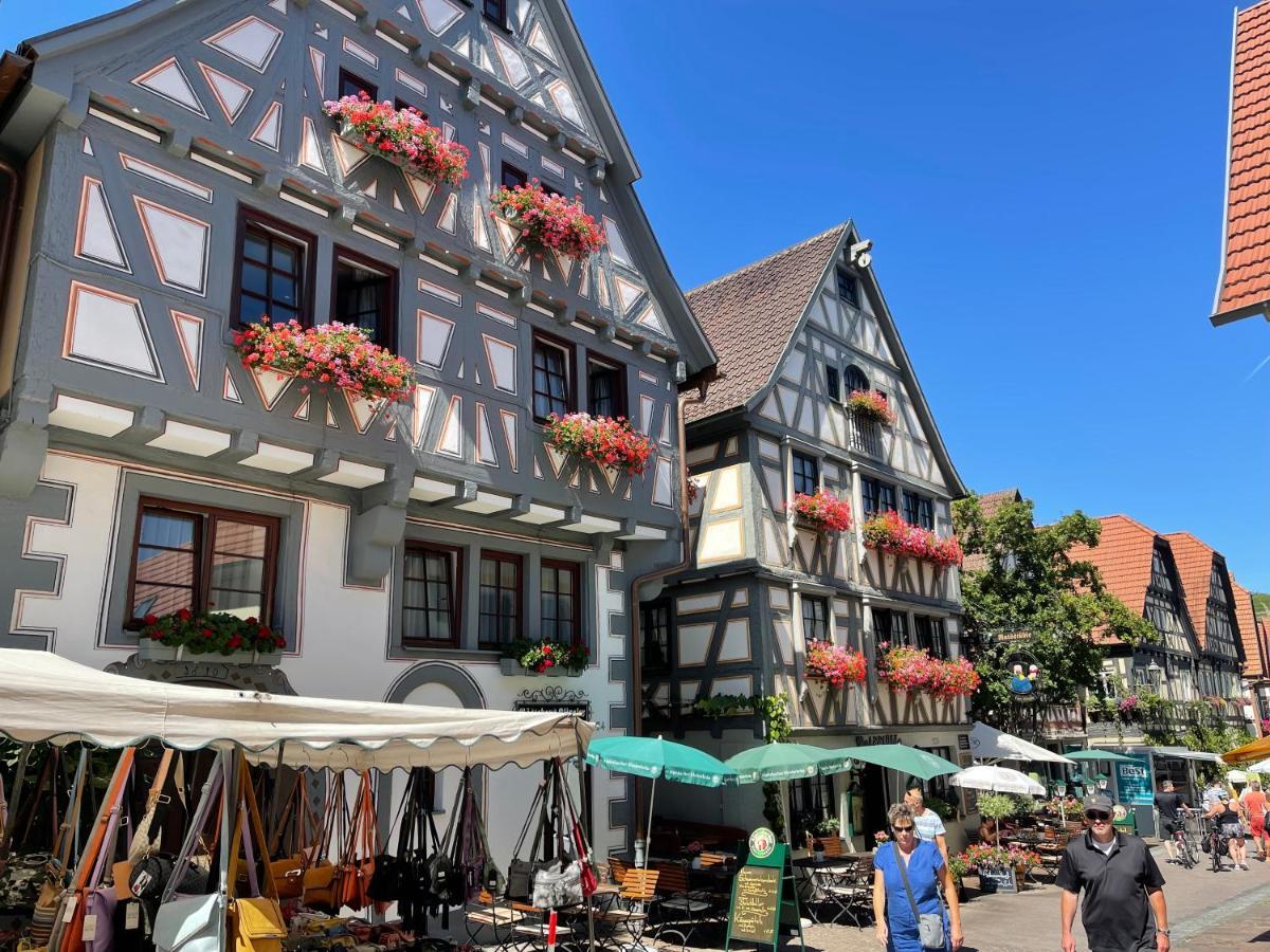 Gaestehaus Klingler Besigheim Luaran gambar